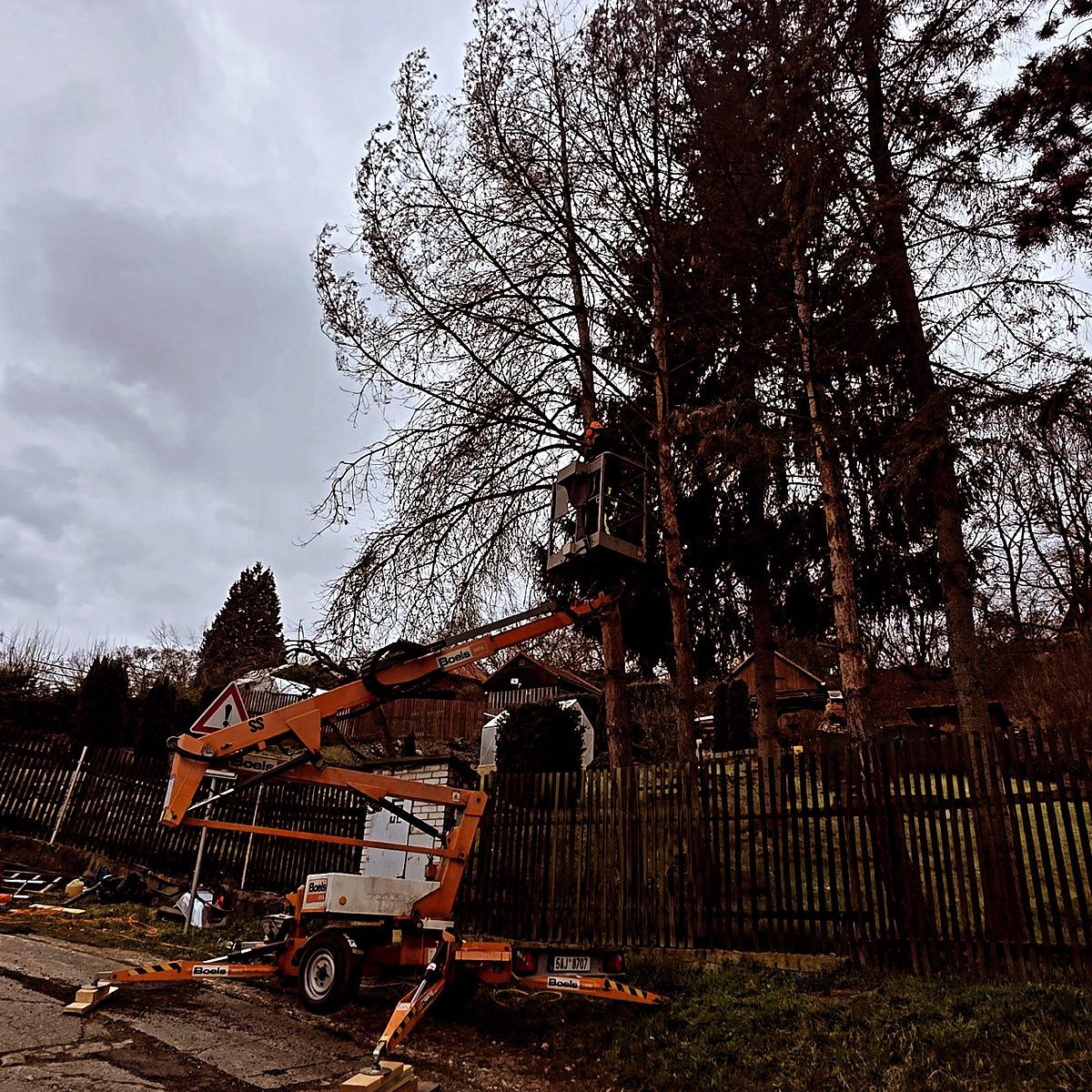 Řez a kácení stromů z pracovní plošiny