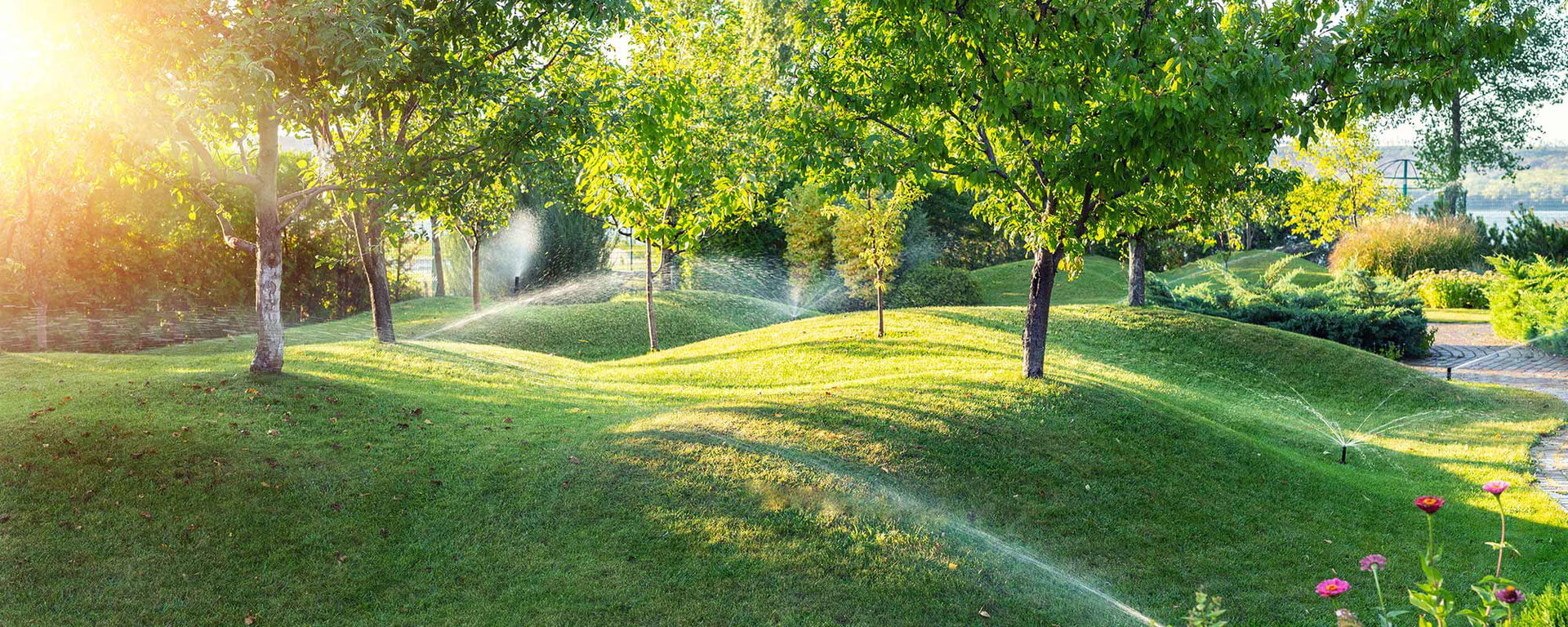 bewässerungssystem-bewässerungssysteme-bewässerungsanlage-automatische-bewässerung-rainbird